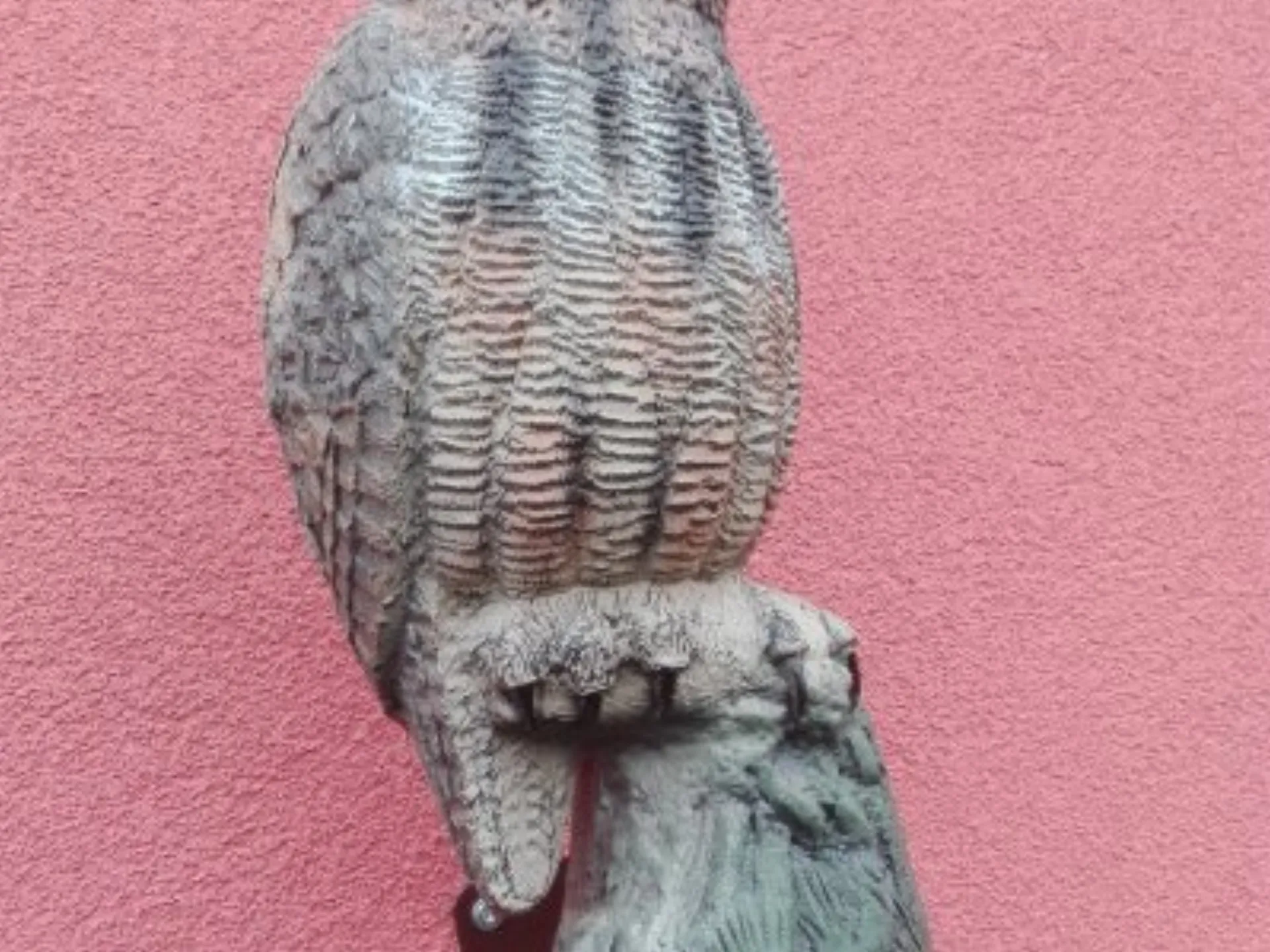 Instalace dravých ptáků a opravy vyklovaných děr