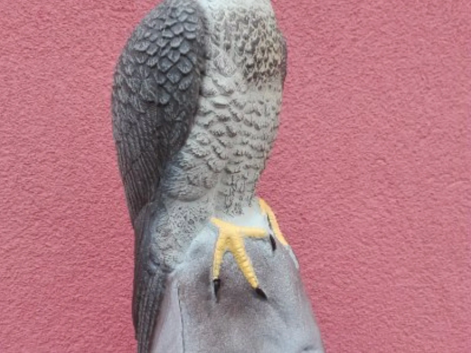 Instalace dravých ptáků a opravy vyklovaných děr - 2